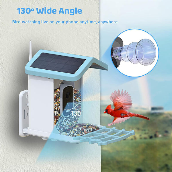 Carvallo med kamera BirdView Pro+ | 2.5K HD &amp; Nattseende | AI-Fågeligenkänning | Sol &amp; USB | IP65