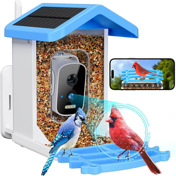 Carvallo med kamera BirdView Pro+ | 2.5K HD &amp; Nattseende | AI-Fågeligenkänning | Sol &amp; USB | IP65