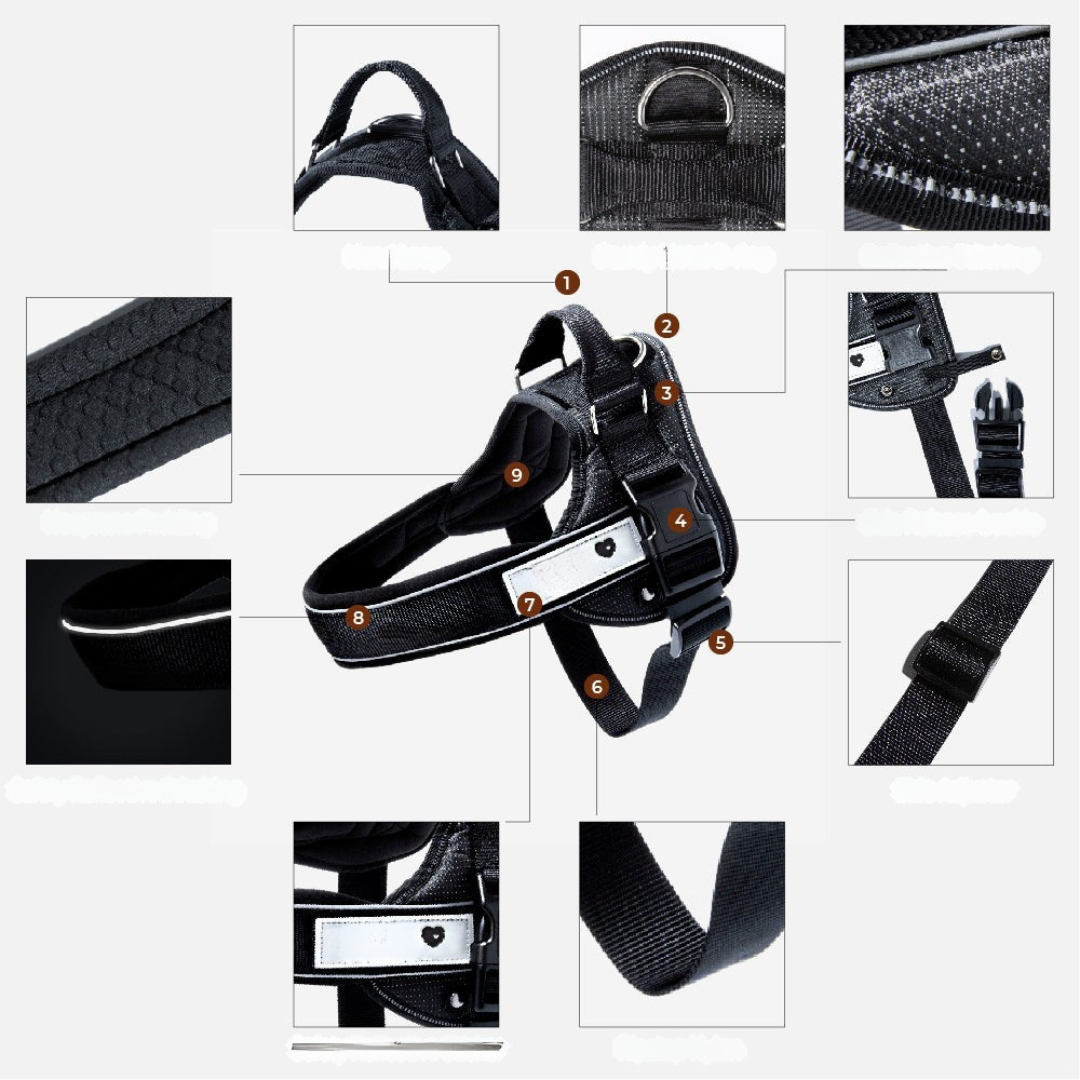 Hund Regnrock Vattentät Reflekterande Allvädersdräkt