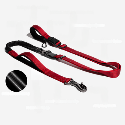 Hund Regnrock Vattentät Reflekterande Allvädersdräkt