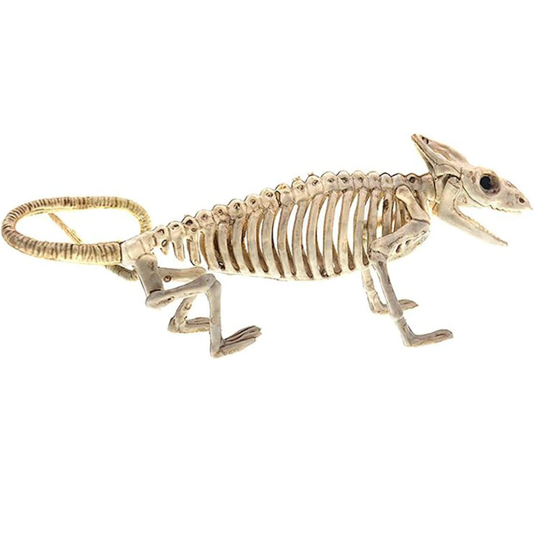 Väggkonst Hängande Skelett Fladdermus Ornament