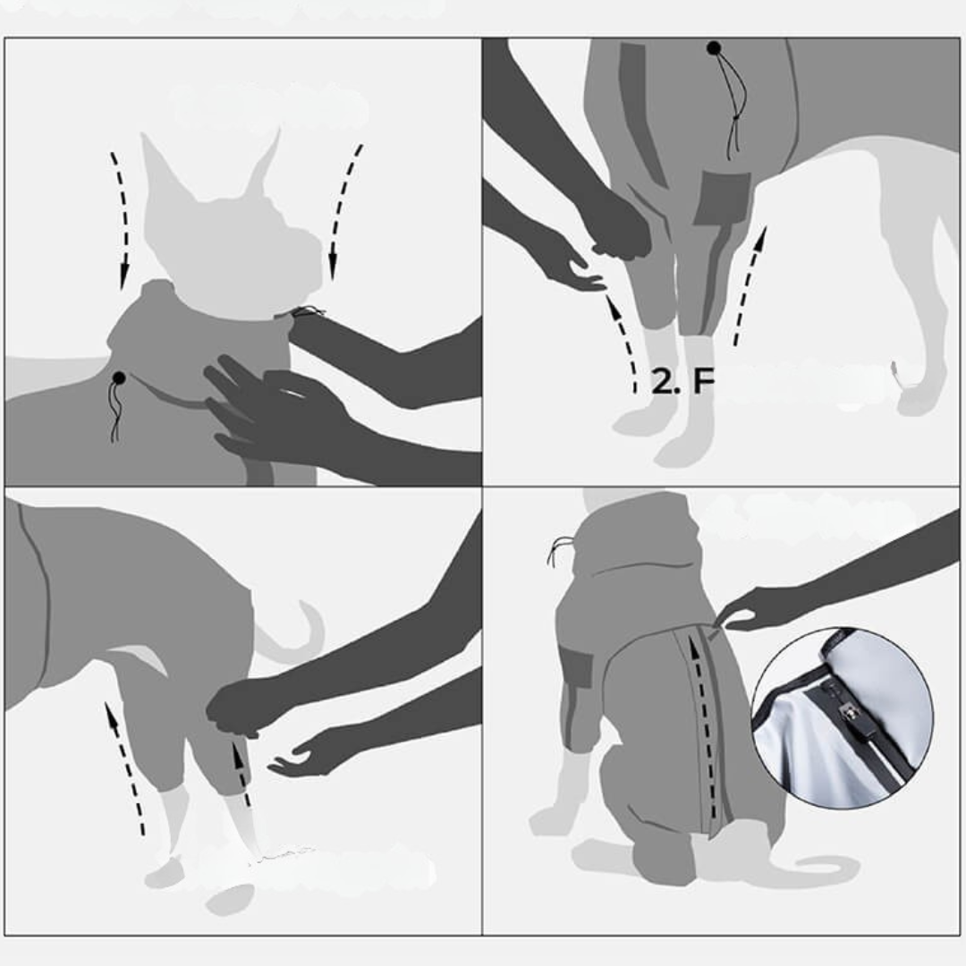 Hund Regnrock Vattentät Reflekterande Allvädersdräkt