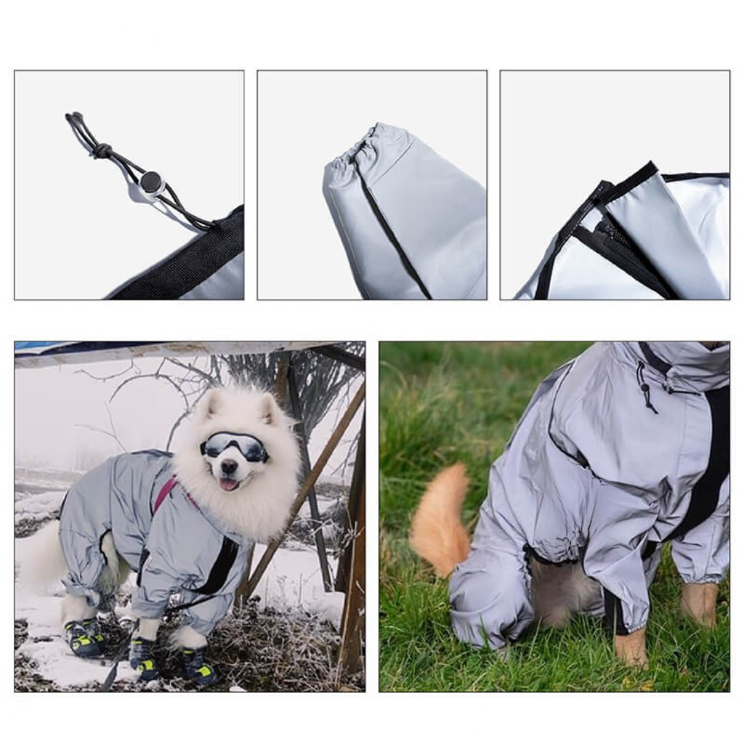 Hund Regnrock Vattentät Reflekterande Allvädersdräkt