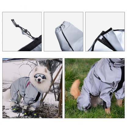 Hund Regnrock Vattentät Reflekterande Allvädersdräkt