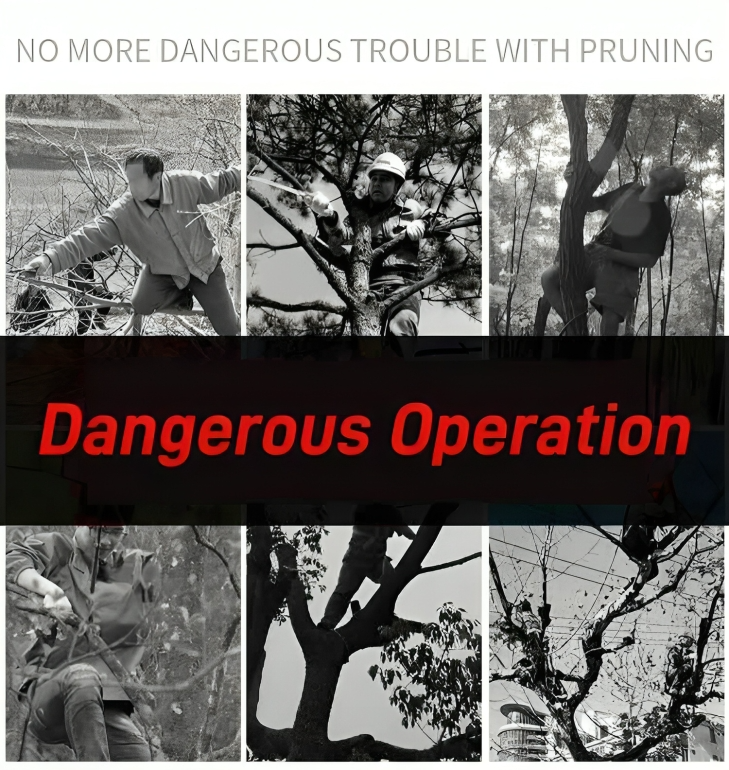 Carvallo - Safe cutting of high branches from the ground!