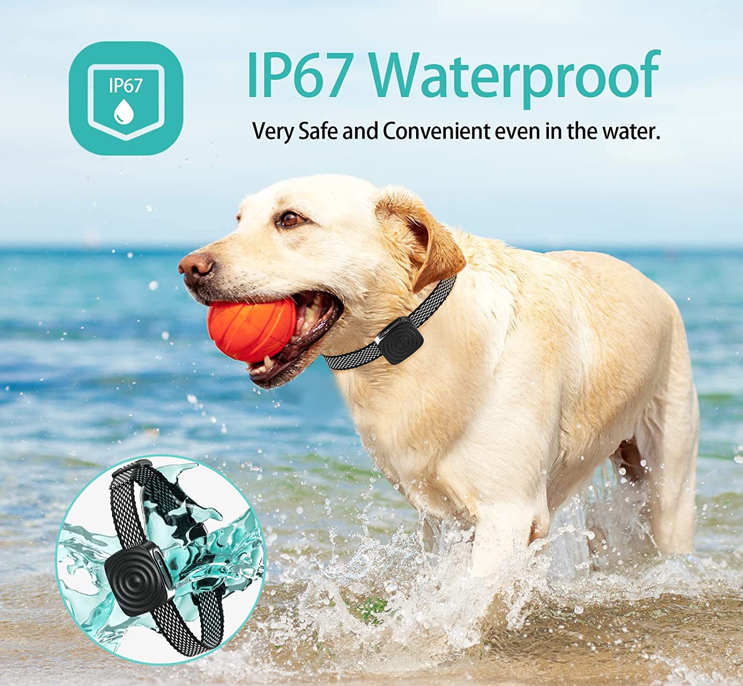 Hundhalsband Anti Skäll för Små Hundar