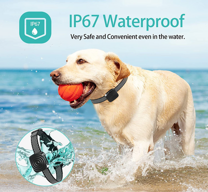 Hundhalsband Anti Skäll för Små Hundar