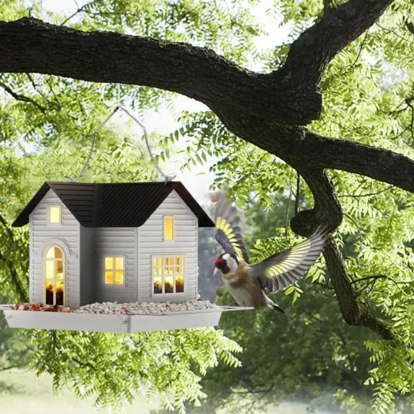 Carvallo – Din trädgård, livlig och lysande!