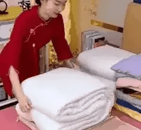 Royallure Kompressionsförvaringspåsar – Vattenavvisande Nylon, Lätt-Dragkedja, Förvaring för Garderob & Resa