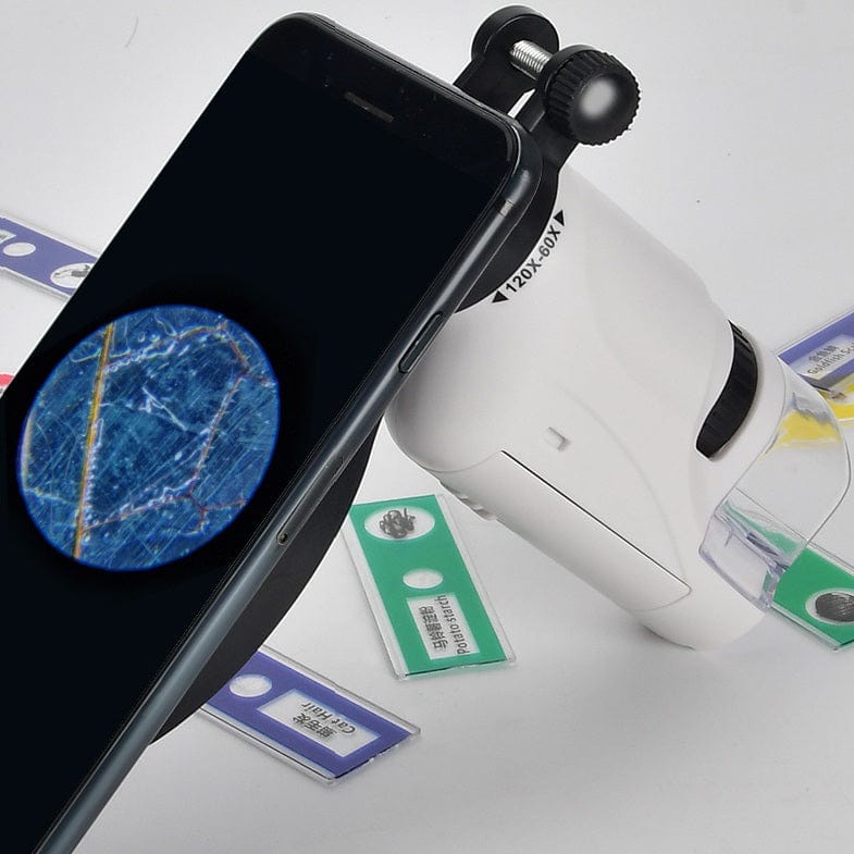 Barns Bärbar LED Fickmikroskop Leksak