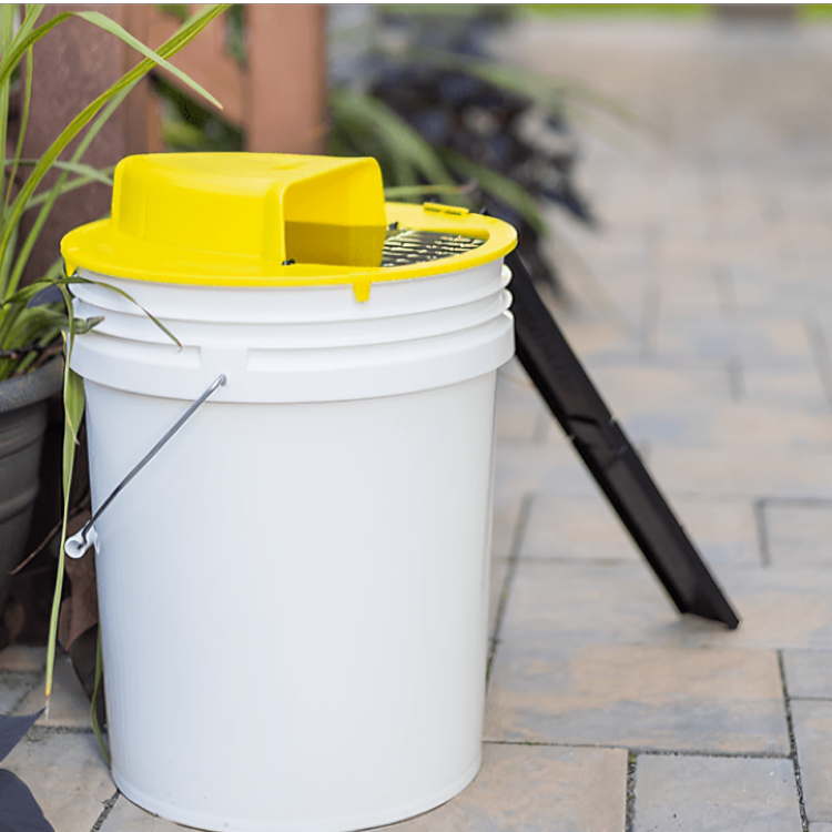 Råttfälla Bucket Lock Återanvändbar Skadedjursfångare