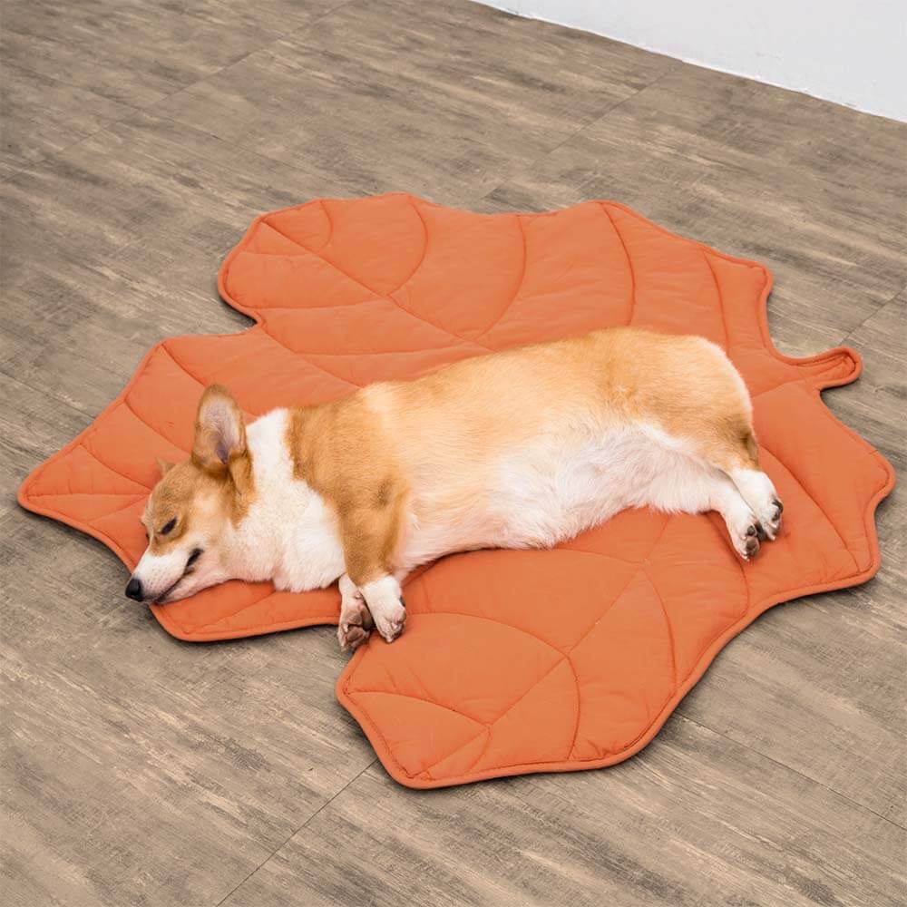 Leafnest - Hundfilt i form av ett blad för komfort och stil