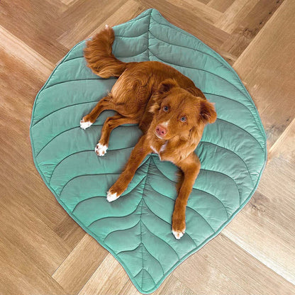 Leafnest - Hundfilt i form av ett blad för komfort och stil