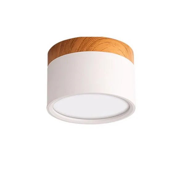 LumiNord – Modern dimbar LED-taklampa i nordisk design