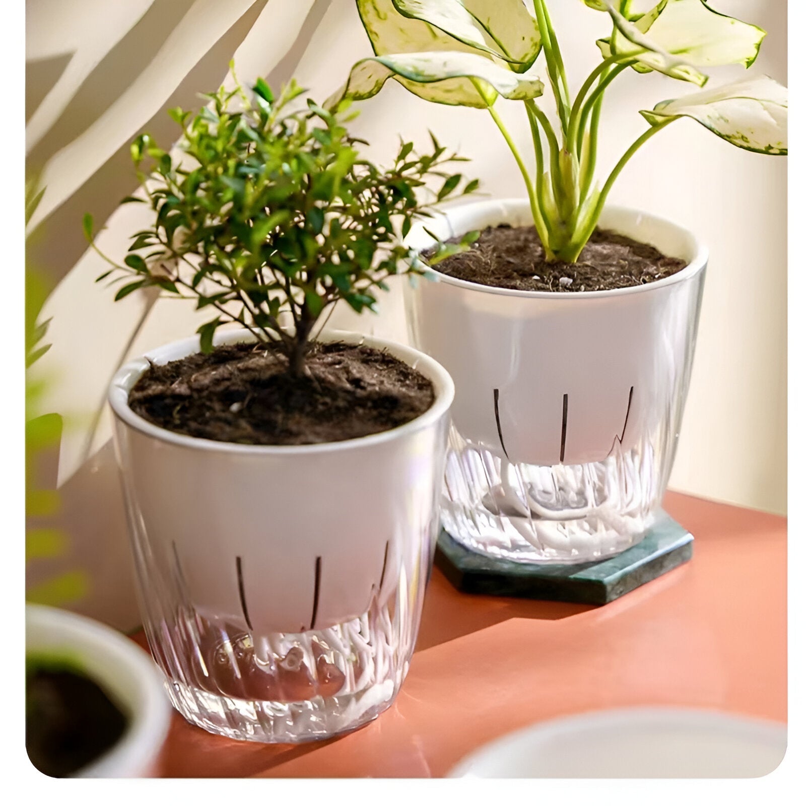 HydroGlow Kruka - 2-pack Självvattnande Bordsväxtkrukor