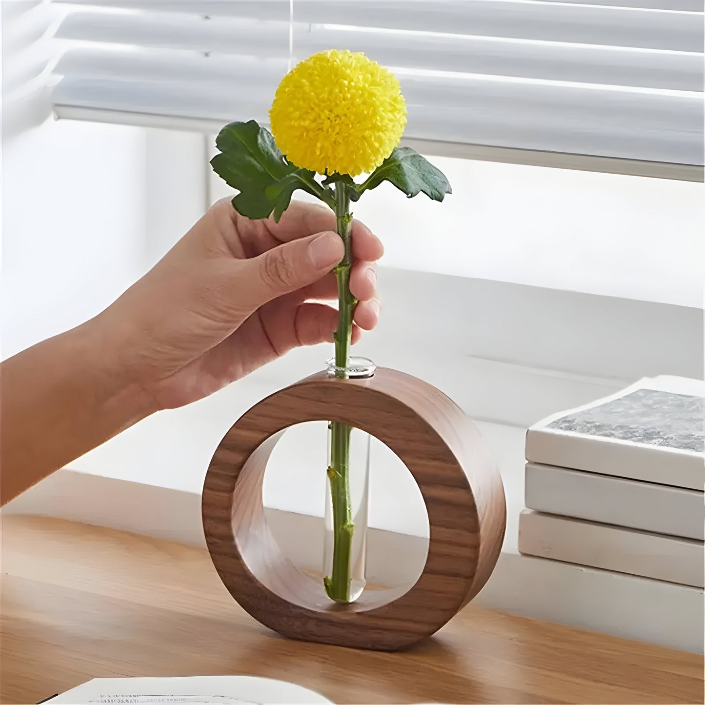 Carvallo – Elegant dekorativ vas för hydroponiska växter och blommor