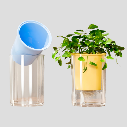 TranspaGrow Kruka – 5-pack Självvattnande Sukulentkrukor