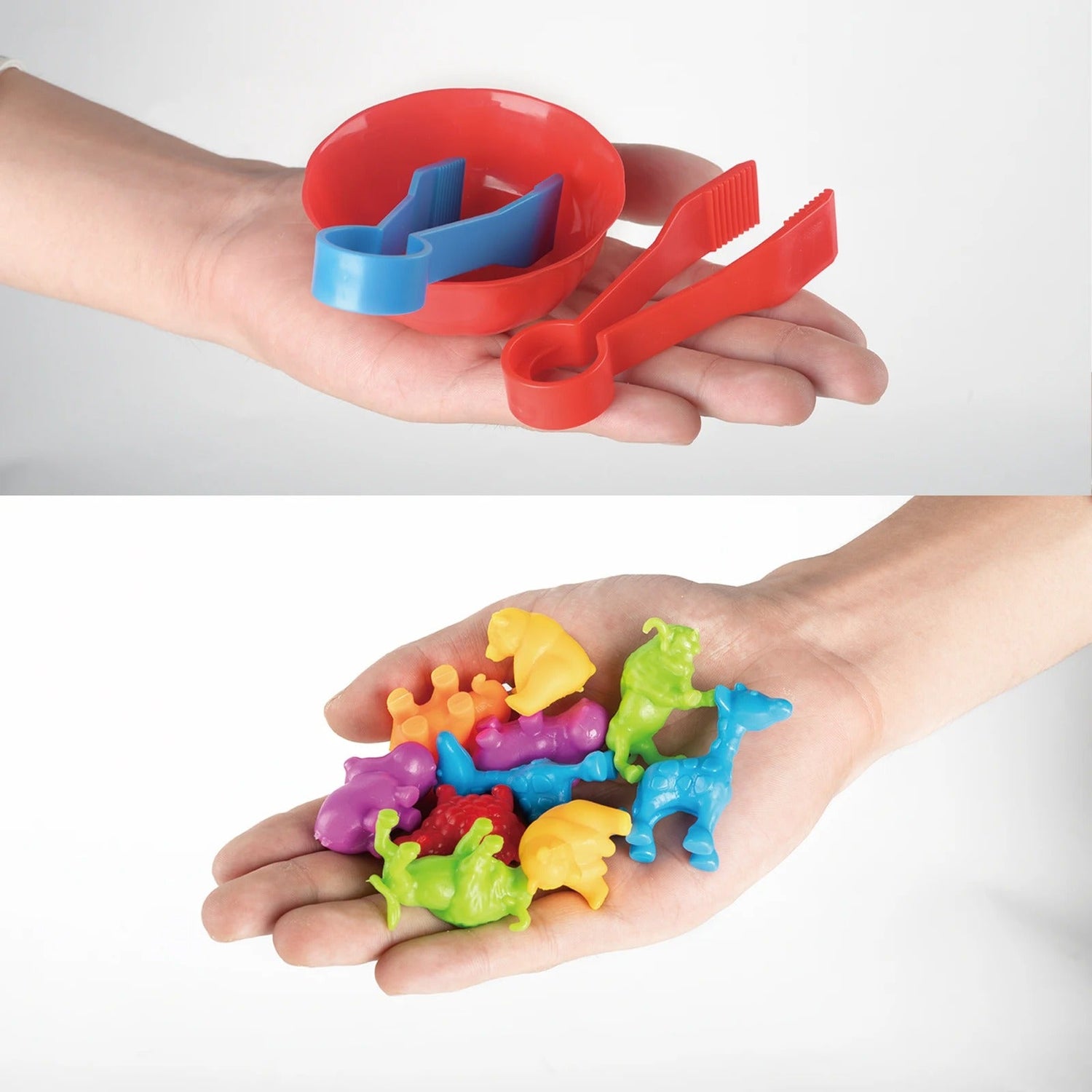 Sorting Animal - Montessori Spelset