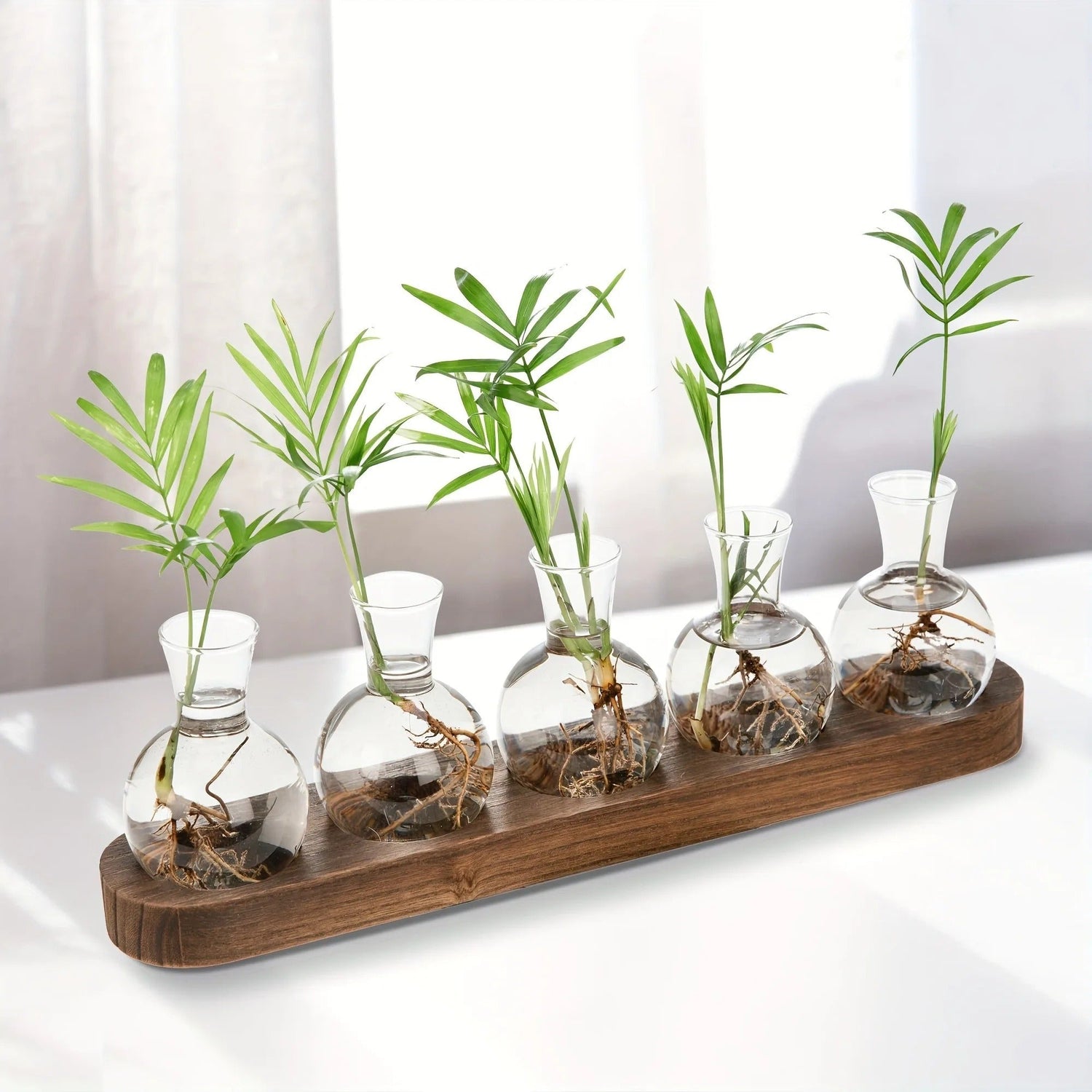 HydroHaven Vase - Elegant Hydroponic Glass Vase