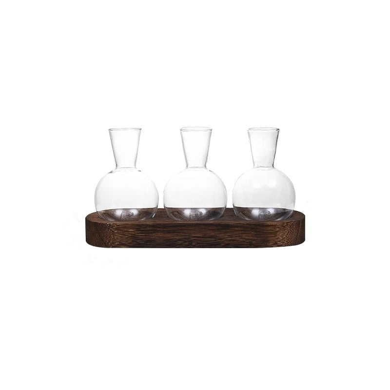 HydroHaven Vase - Elegant Hydroponic Glass Vase