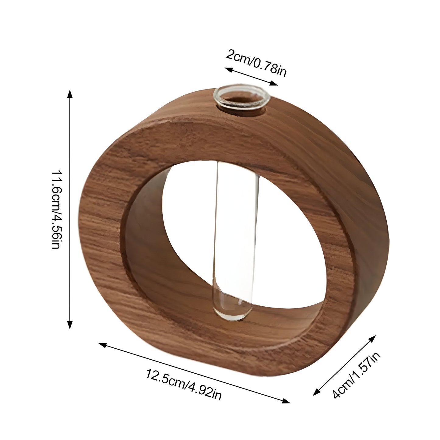 Carvallo – Elegant dekorativ vas för hydroponiska växter och blommor