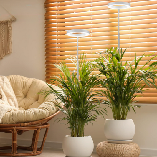 Höjdjusterbar växtlampa med ljusstyrkekontroll