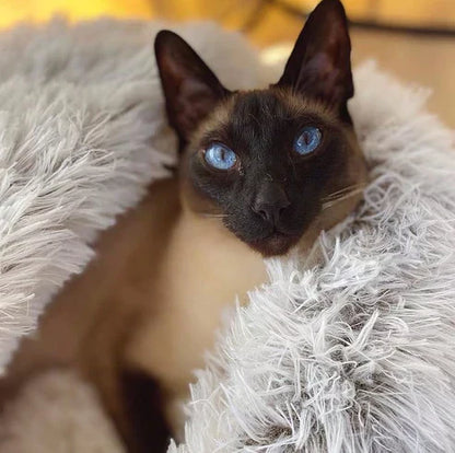 Carvallo - Bekväm husdjurssäng