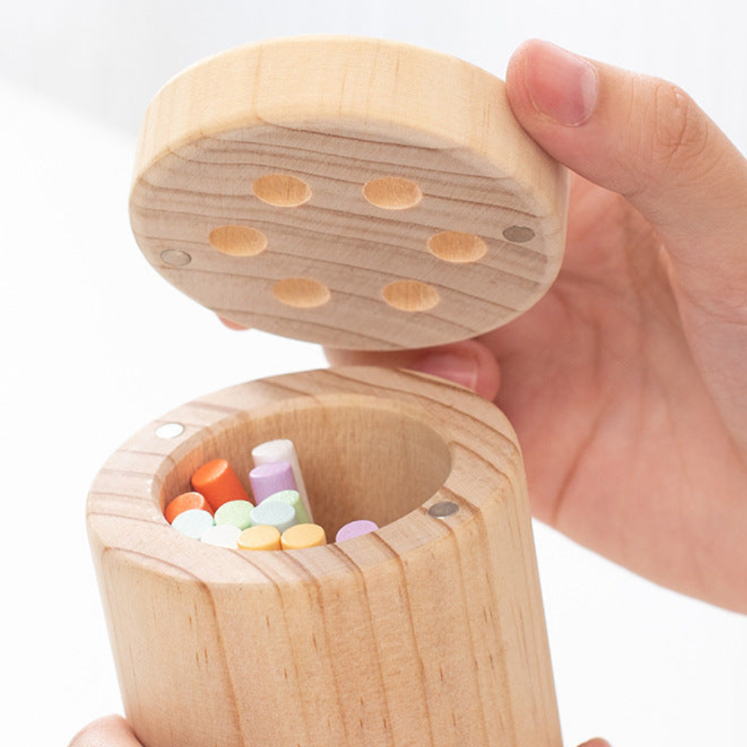 Montessori färgad träpinne spel