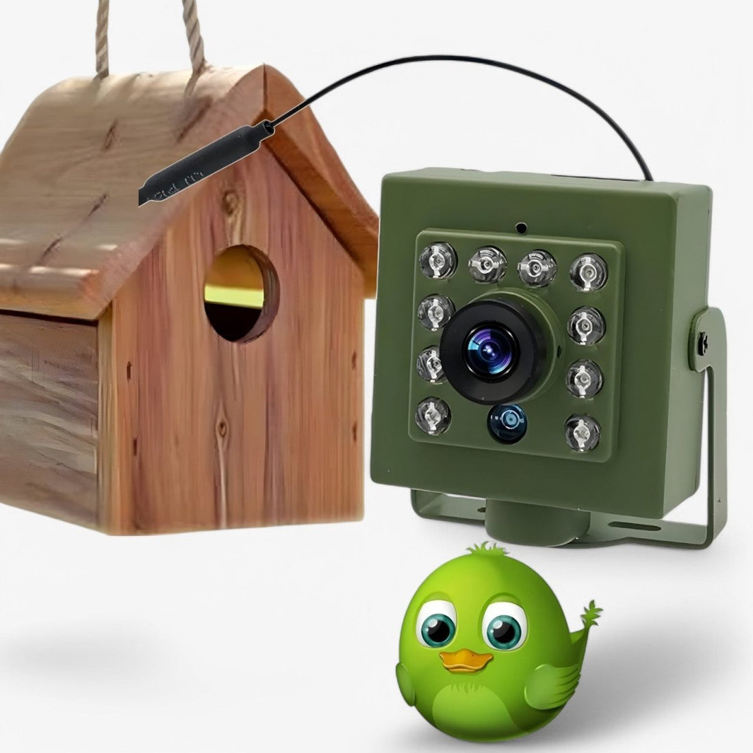 Nestcam WLAN fågelbo kamera - 1080p HD väderbeständig viltkamera med nattsyn, rörelseavkänning och fjärråtkomst