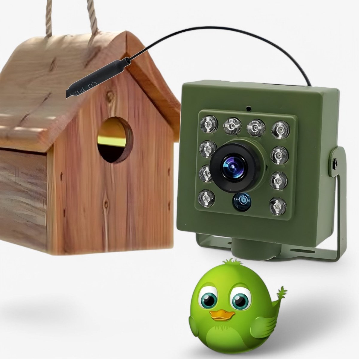 Nestcam WLAN fågelbo kamera - 1080p HD väderbeständig viltkamera med nattsyn, rörelseavkänning och fjärråtkomst