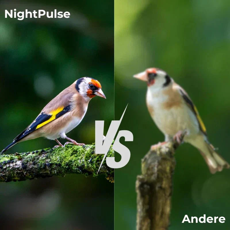 NightPulse - Nattvisionskikare med infraröd teknik &amp; inspelningsfunktion