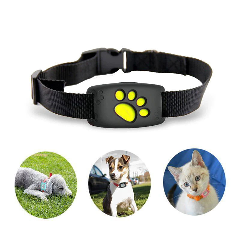 Luxora Smart GPS Katt Halsband med Realtids Spårning