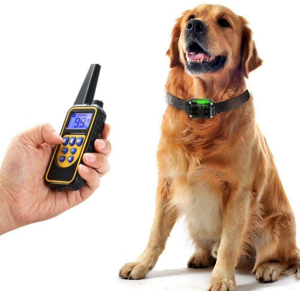 800M Uppladdningsbar Elektrisk Hund Träningshalsband