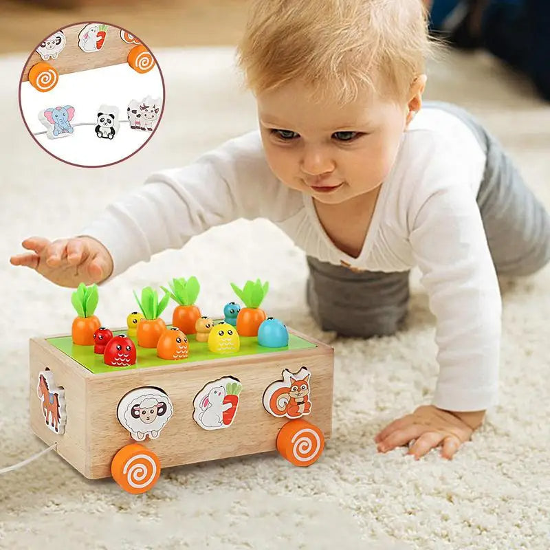 Montessori Lärande och Utveckling Träleksak