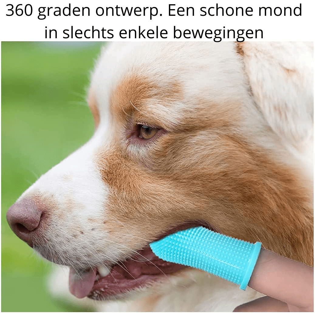 Pawclean Pro – 360° silikonfinger tandborste för skonsam hundtandvård