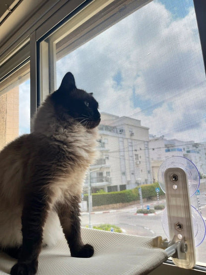 Pawperch – Fällbar katthängmatta med väggvänlig hållare | Borrlös fönsterplats för katter