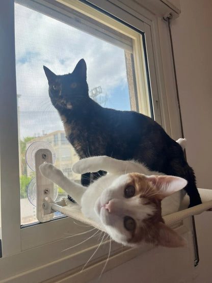 Pawperch – Fällbar katthängmatta med väggvänlig hållare | Borrlös fönsterplats för katter