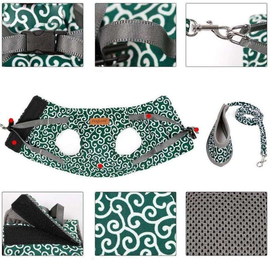 PAWVENTURE SÄNG – Kattens sängväst med ventilerande mesh &amp; koppel