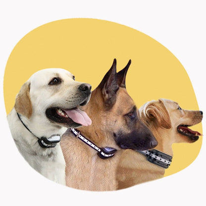 PETGUARD 300 – Trådlöst hundhalsband och träningssystem