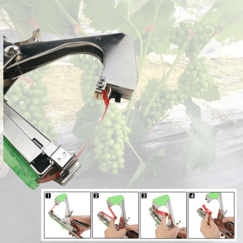 Plantstödset – Enkelt bindsystem för klätterväxter, blommor och grönsaker