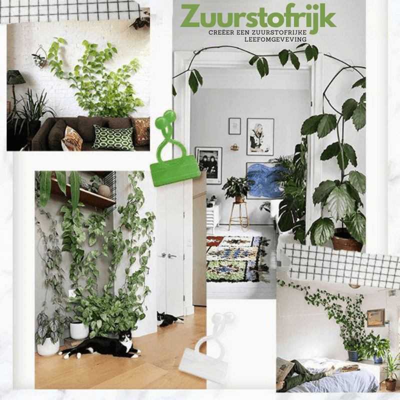 PlantGuide Clips - Klätterväxtstöd Clips med 3M lim för vertikal tillväxt