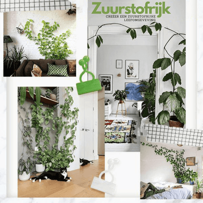 PlantGuide Clips - Klätterväxtstöd Clips med 3M lim för vertikal tillväxt