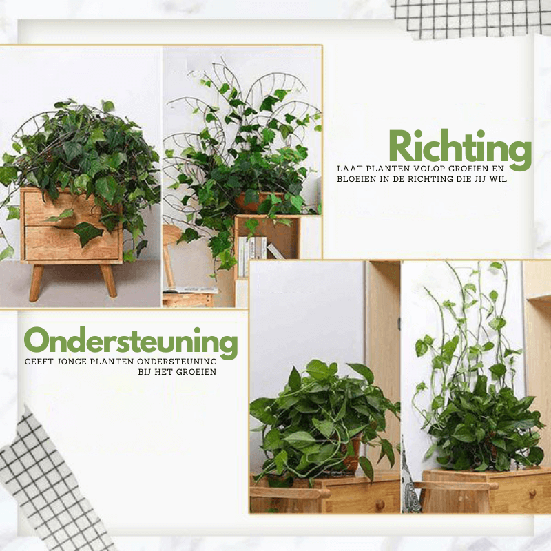 PlantGuide Clips - Klätterväxtstöd Clips med 3M lim för vertikal tillväxt