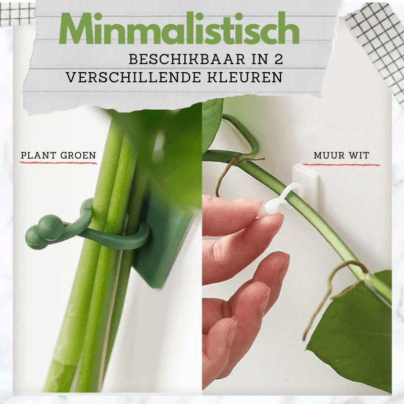 PlantGuide Clips - Klätterväxtstöd Clips med 3M lim för vertikal tillväxt