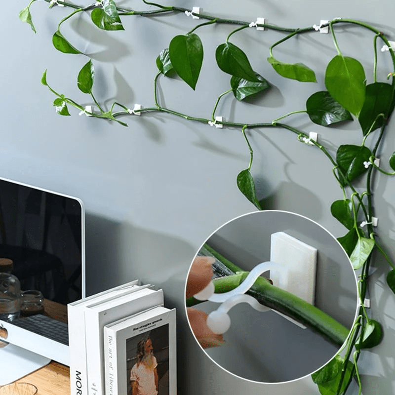 PlantGuide Clips - Klätterväxtstöd Clips med 3M lim för vertikal tillväxt