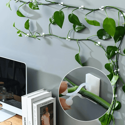 PlantGuide Clips - Klätterväxtstöd Clips med 3M lim för vertikal tillväxt