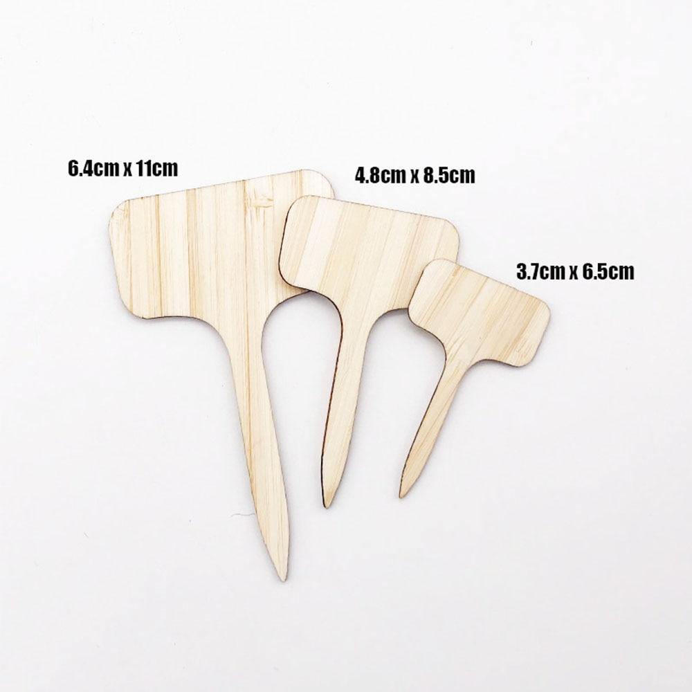 Carvallo – Växtskyltar av bambu för trädgård & dekoration