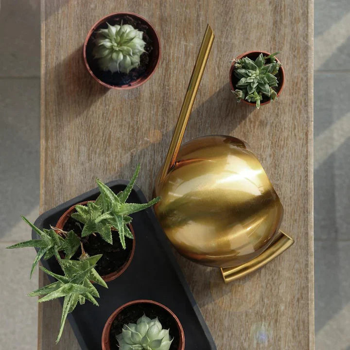 PlantFlow – Slim sfärisk vattenkanna perfekt för känsliga växter