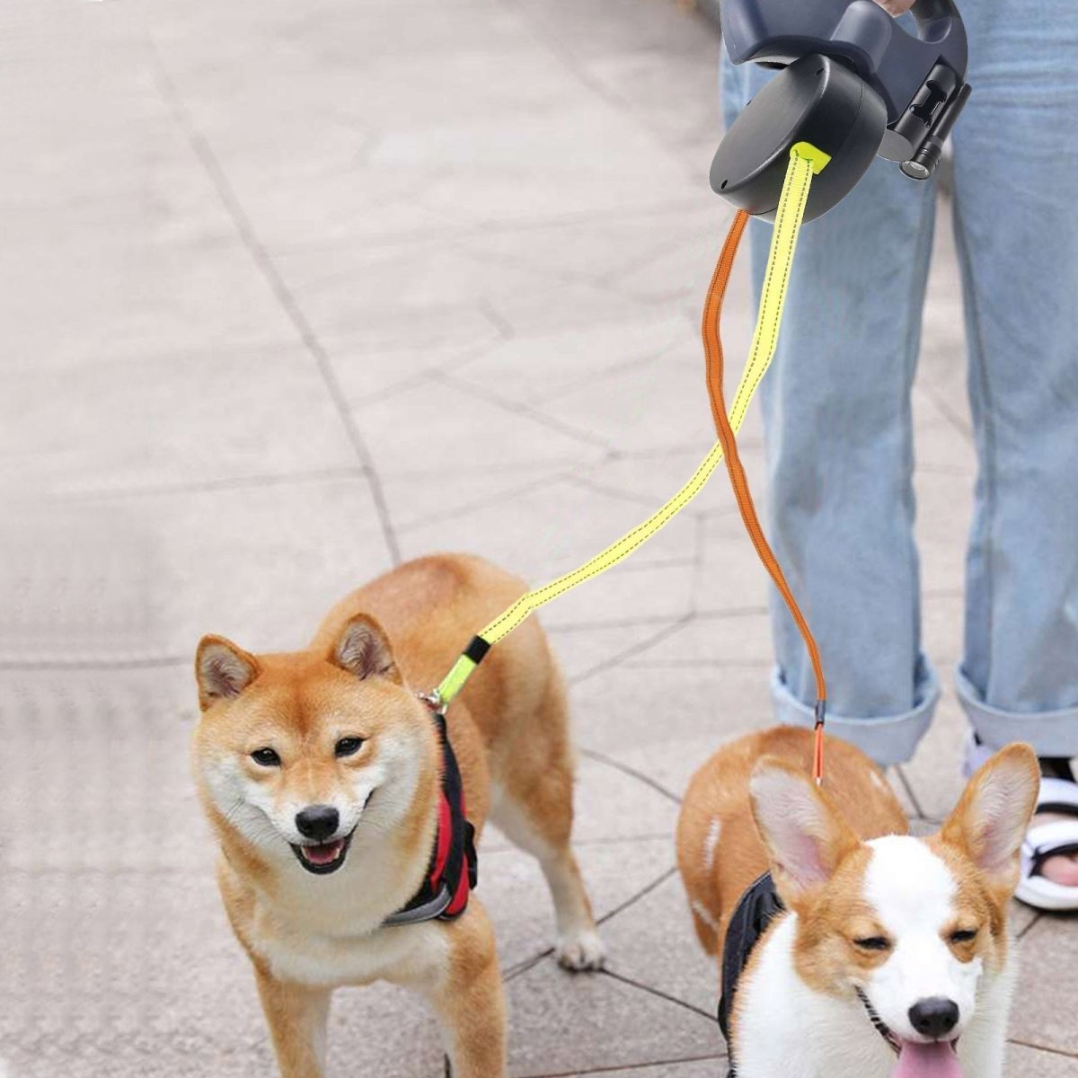 PROPET DUO – Dubbel utdragbar hundkoppel med LED-ficklampa