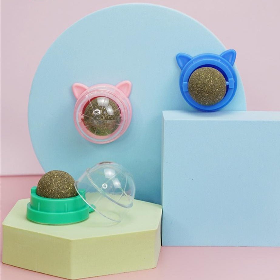 Purrfect katt leksak med kattmynta – väggmonterbar roterande leksak med naturlig mynta för tandhälsa och lekglädje